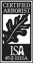 ISA Certified Arborists